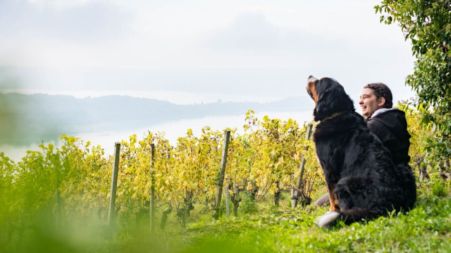 Festi Ligerz: Andrea Matzinger