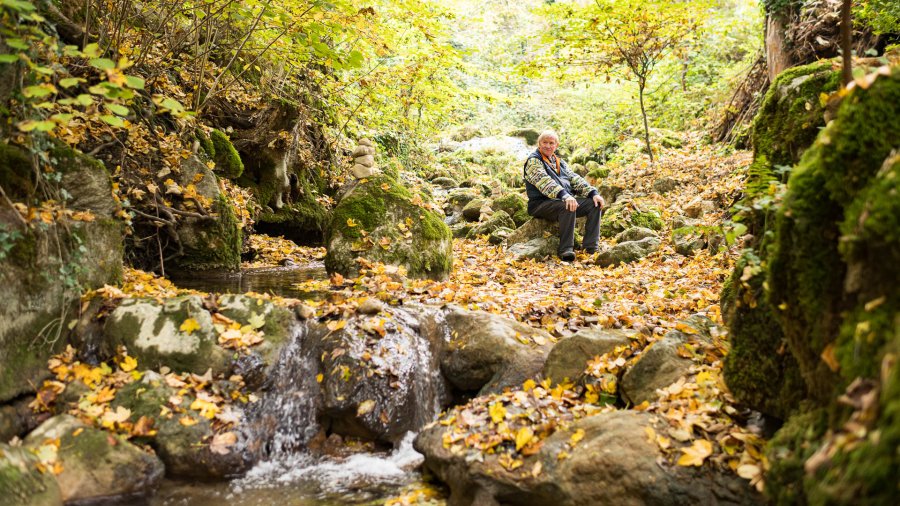 Dorfbach Attiswil: Paul Bayard